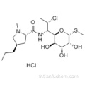 Chlorhydrate de clindamycine CAS 21462-39-5